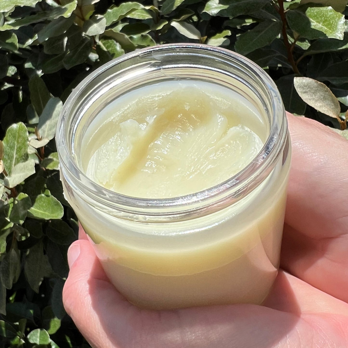 Bison Tallow Balm with Manuka Honey
